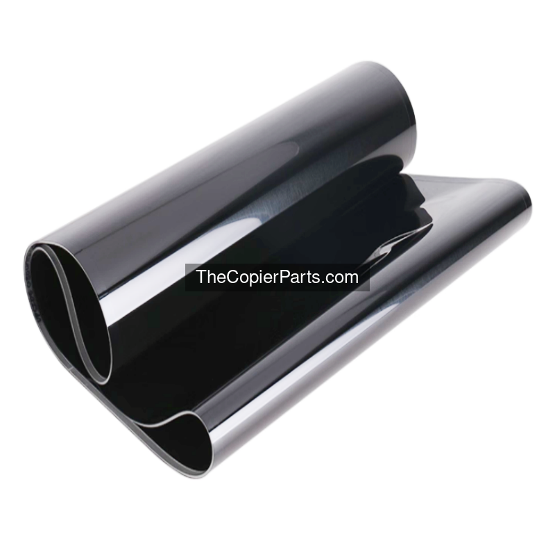 Transfer Belt